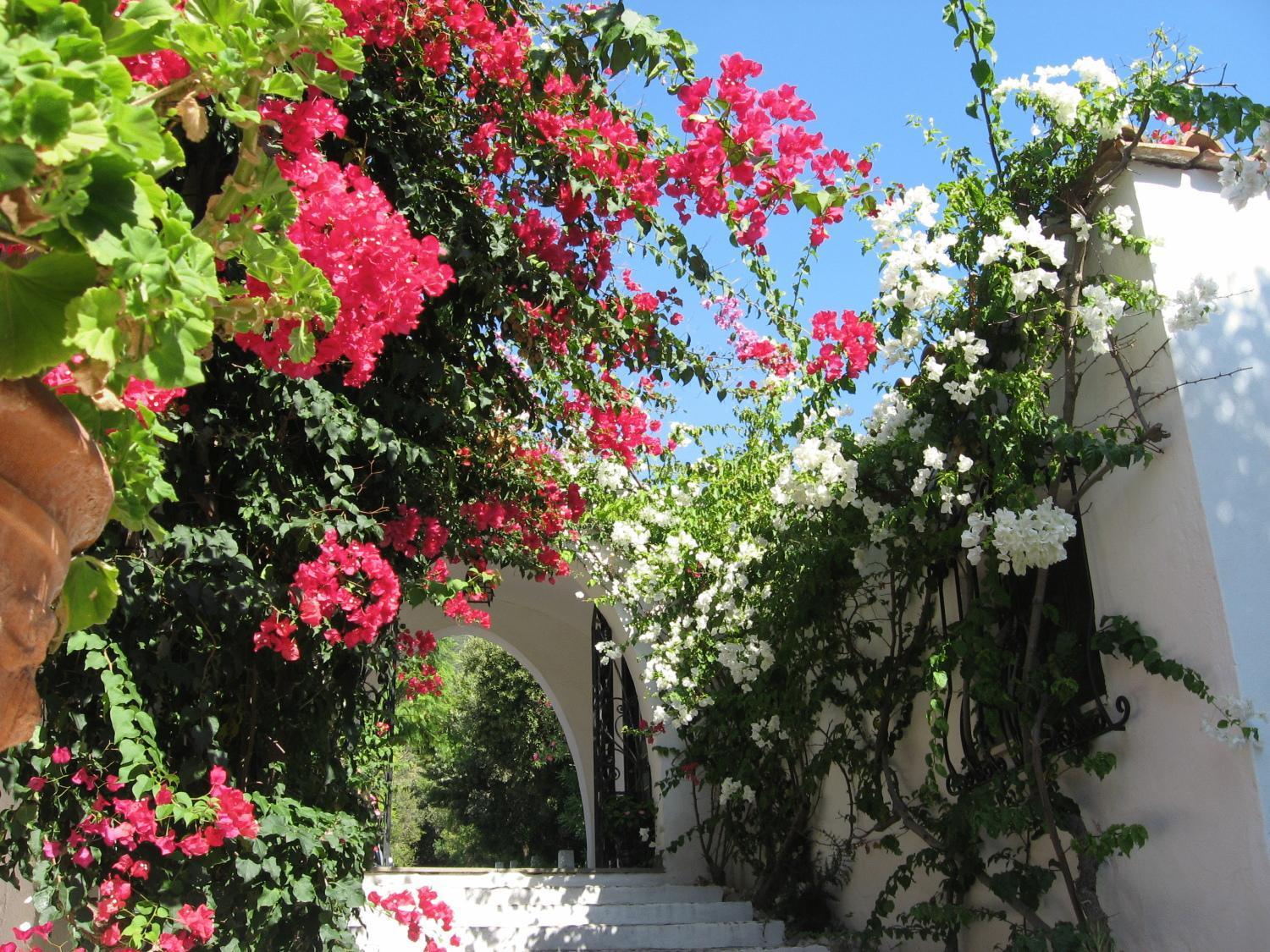 Hotel Punta Rossa San Felice Circeo Exterior photo